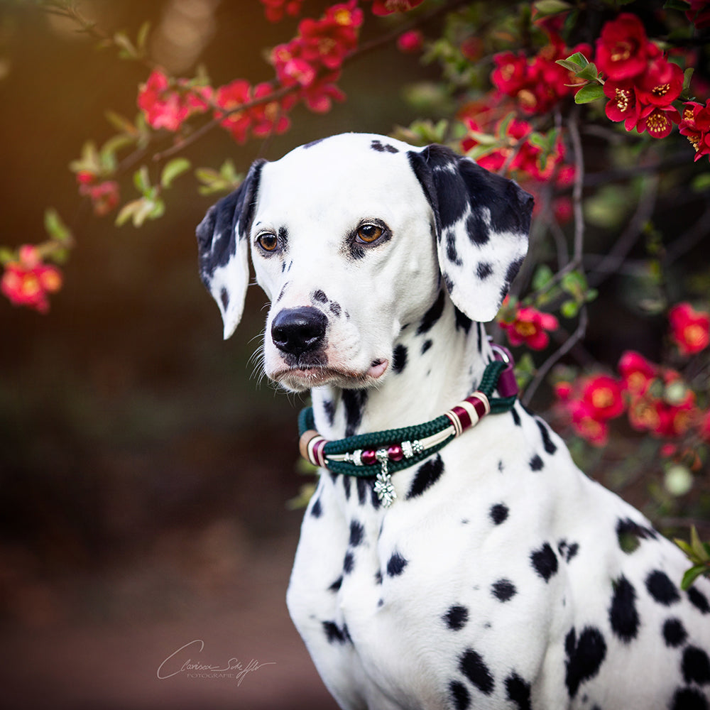 Tauhalsband mit Perlen Edeltraud XS