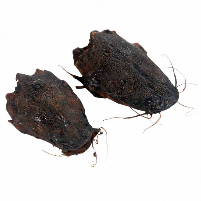 Kauartikel für Hunde Welskopf