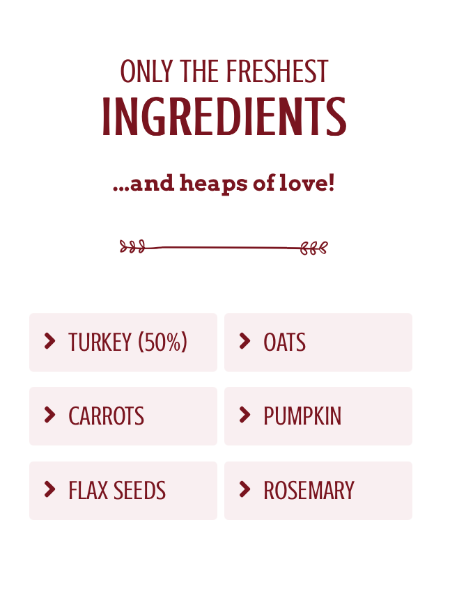 Cooka's Cookies Küss die Hexe Truthahn & Kürbis