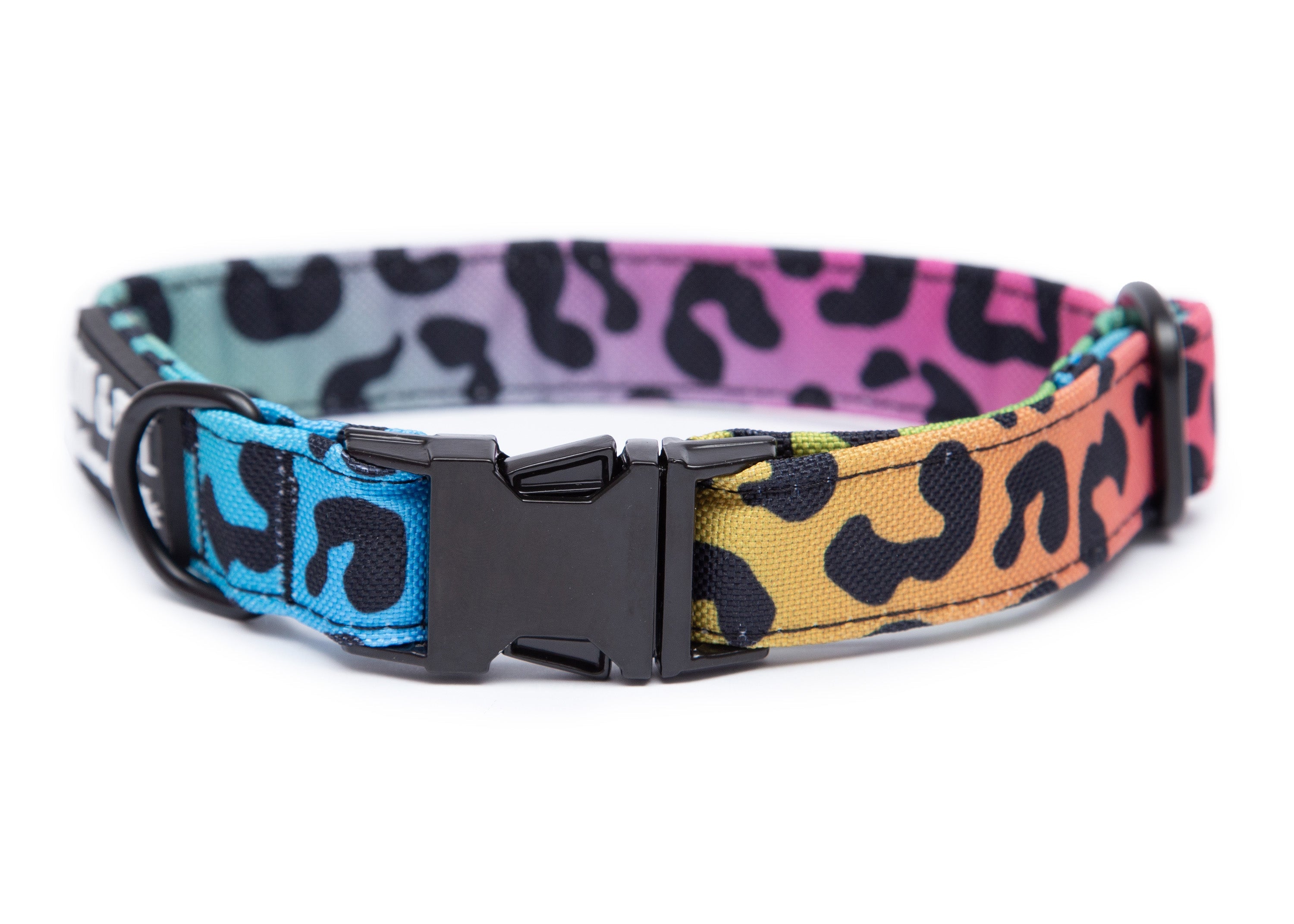 Hundehalsband, Modell  Leo Neo, für große und kleine Hunde