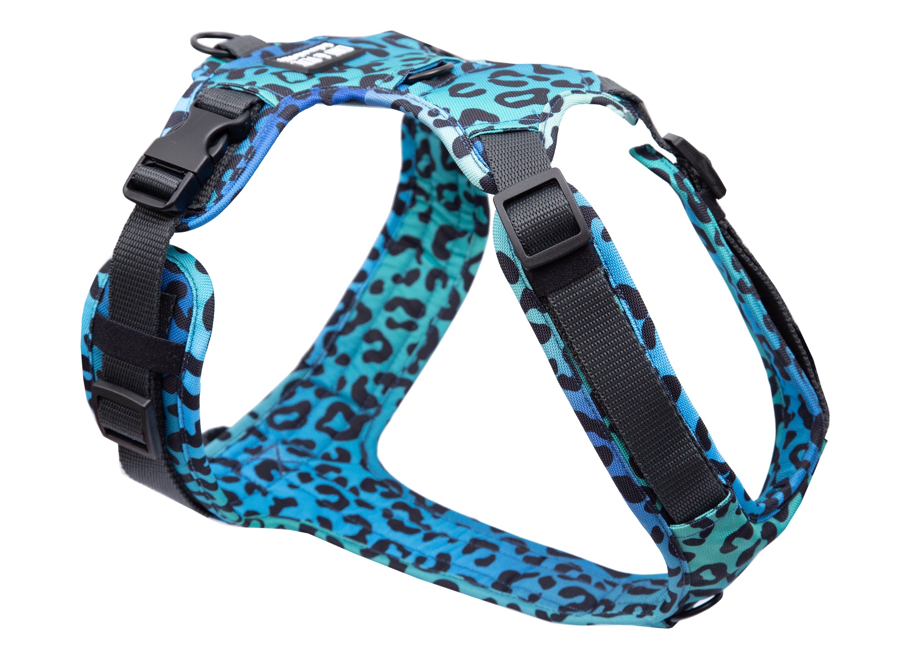 Hundegeschirr Leo Aqua