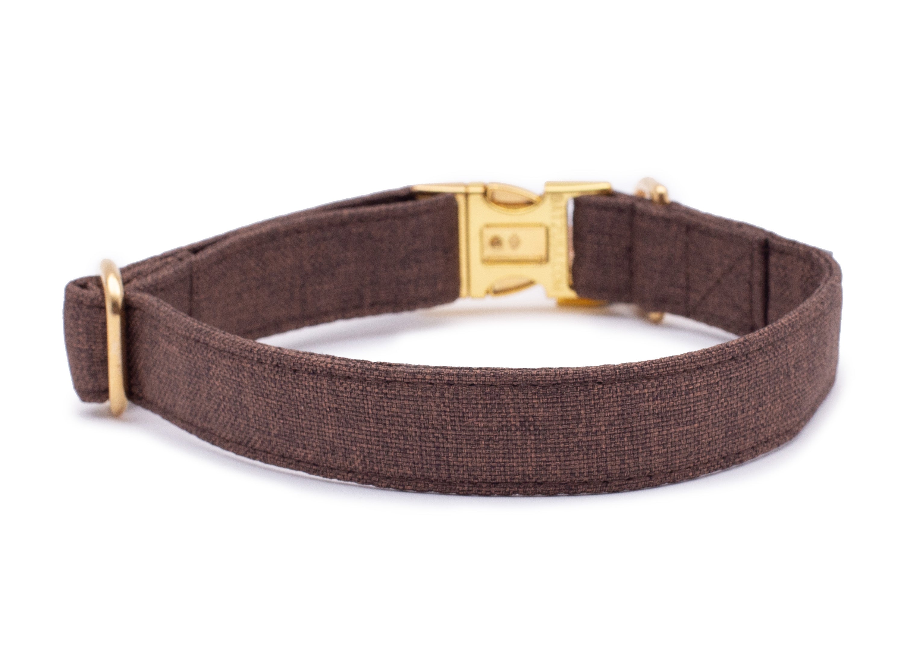 Hundehalsband Golden Ansicht von hinten