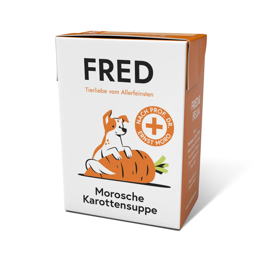 Fred Morosche Karottensuppe 200g