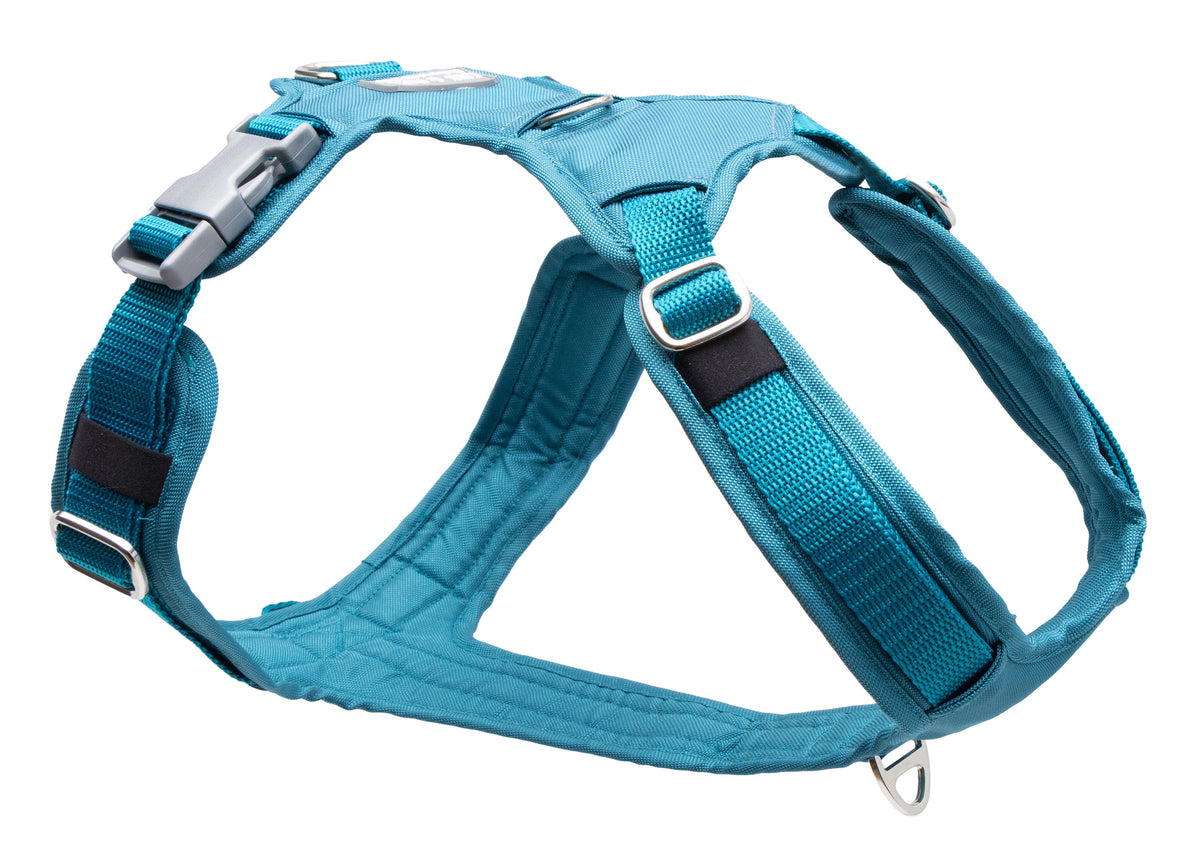 Hundegeschirr Aqua