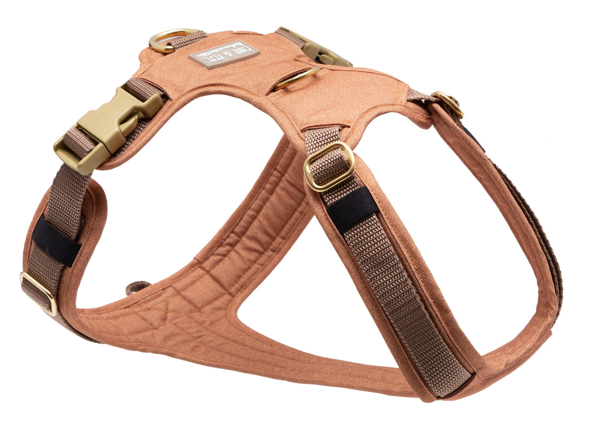 Hundegeschirr Cinnamon
