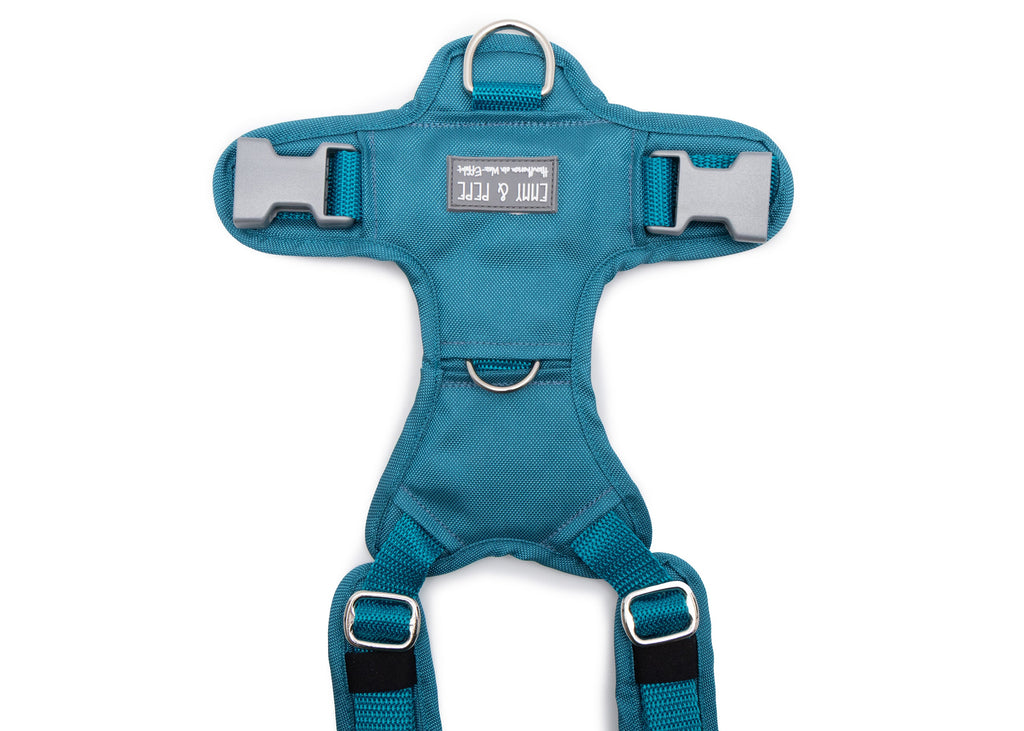 Hundegeschirr Aqua