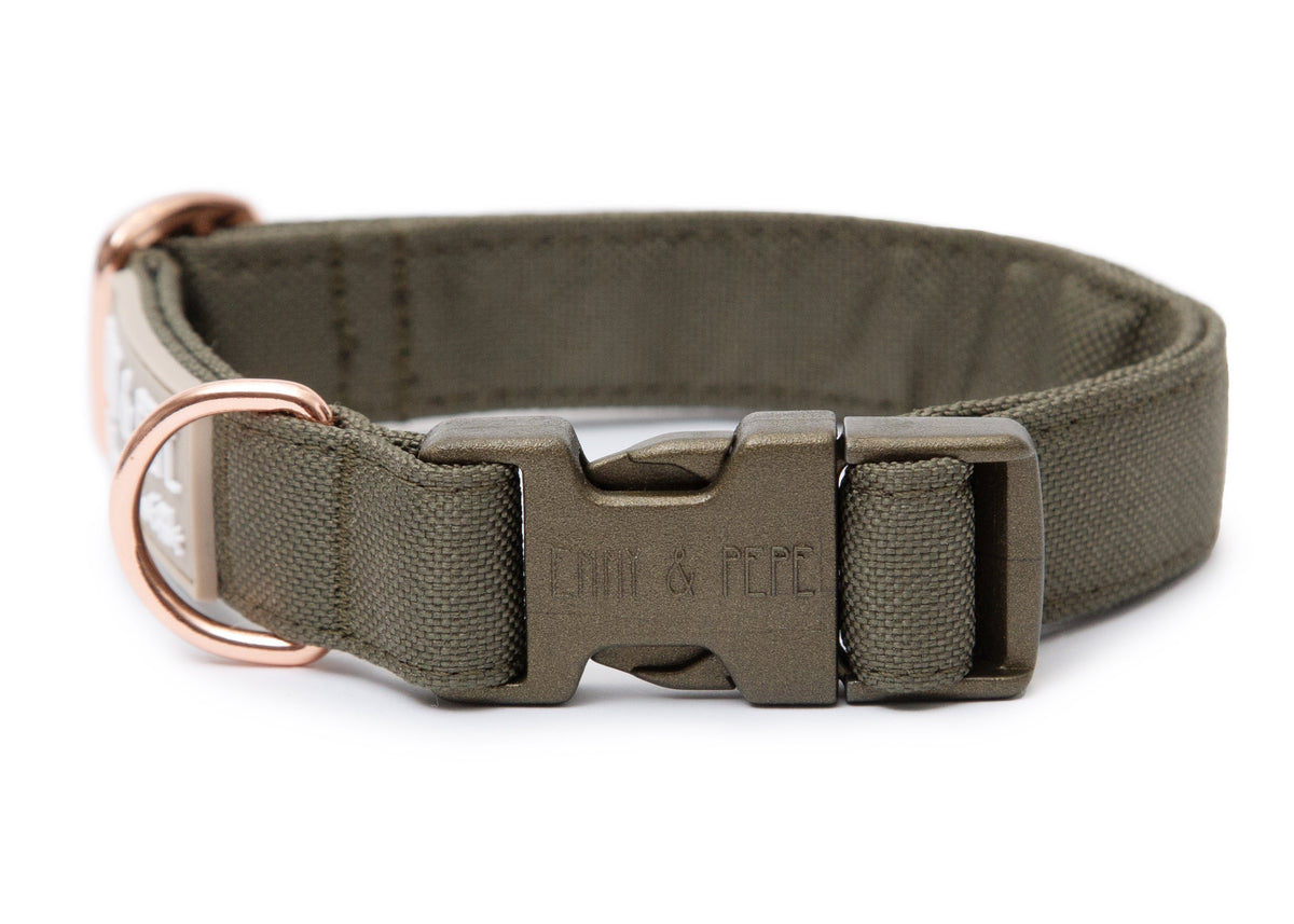 Hundehalsband Lotte 2.0