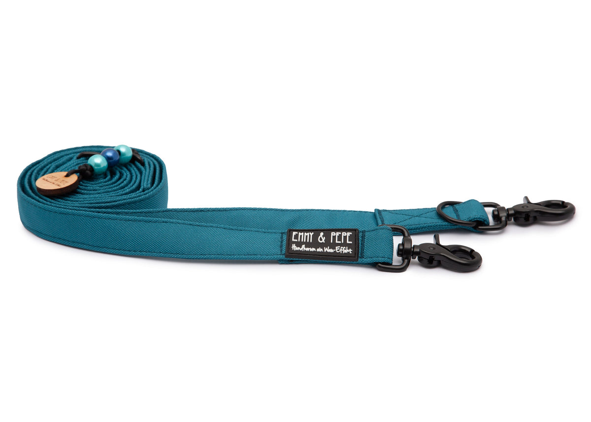 Hundeleine Aqua