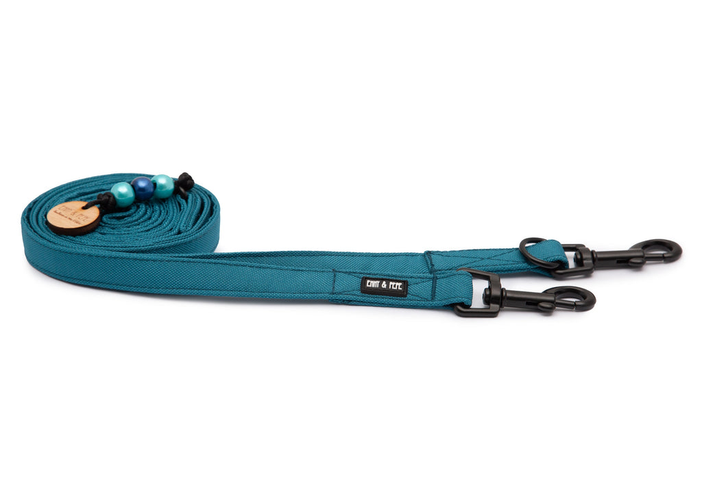 Hundeleine Aqua