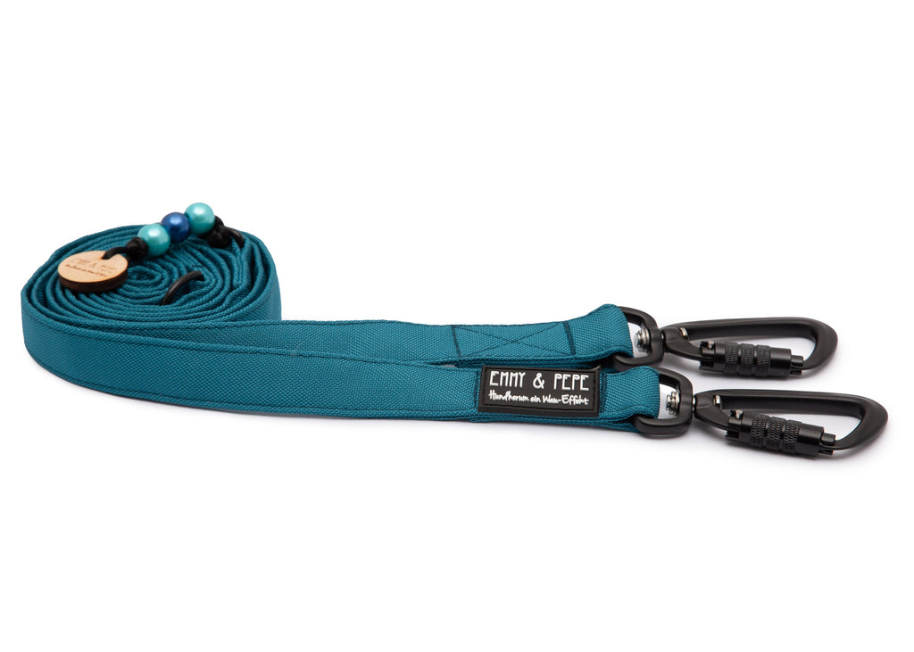 Hundeleine Aqua