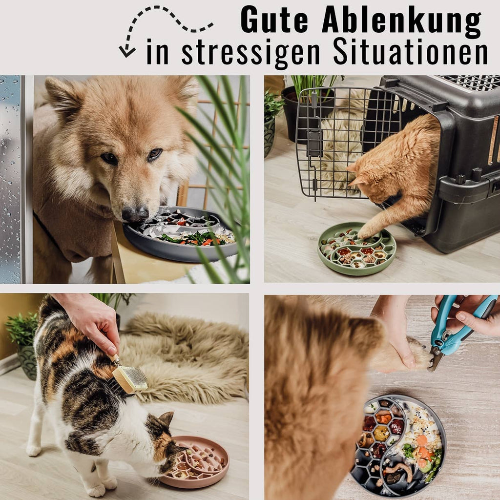 Anti-Schlingnapf & Schleckmatte