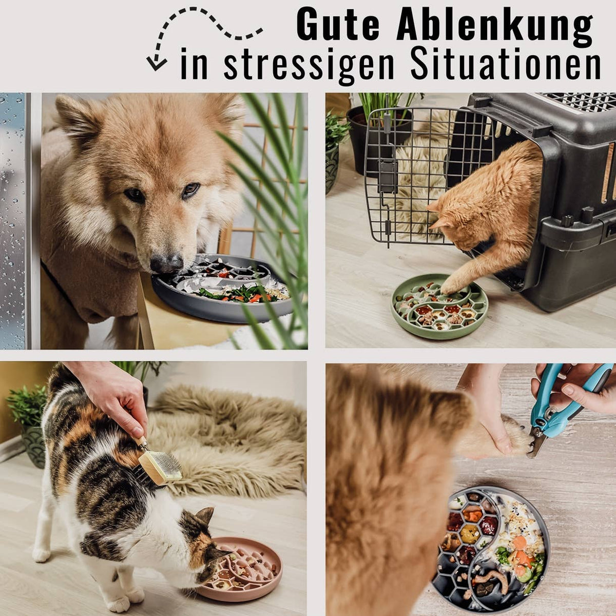 Anti-Schlingnapf & Schleckmatte