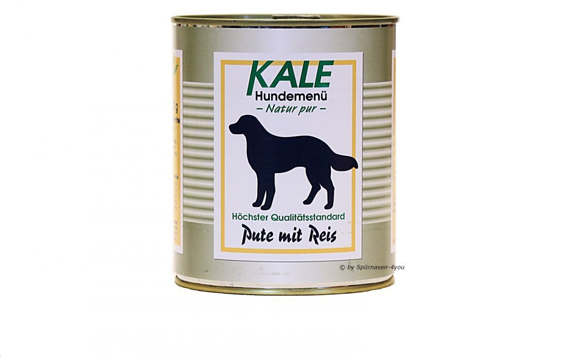 KALE Pute mit Reis