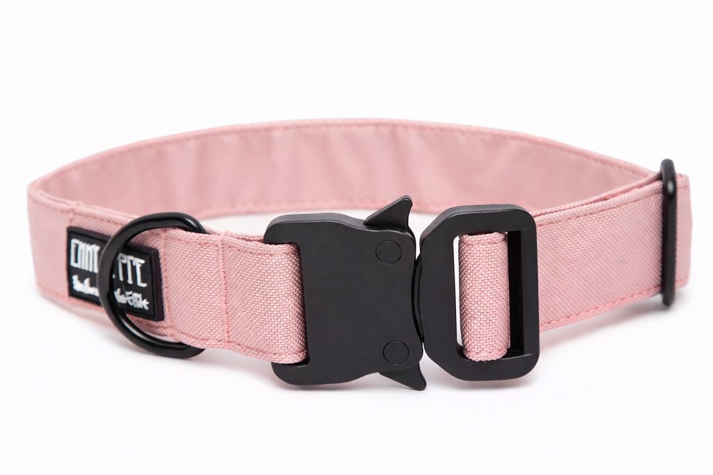 Hundehalsband Rosi
