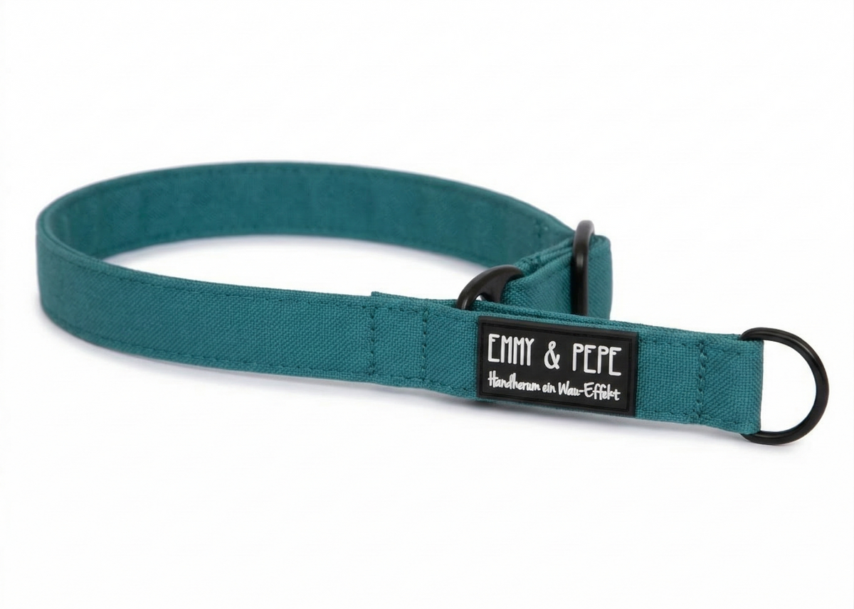 Zugstopp-Halsband Aqua