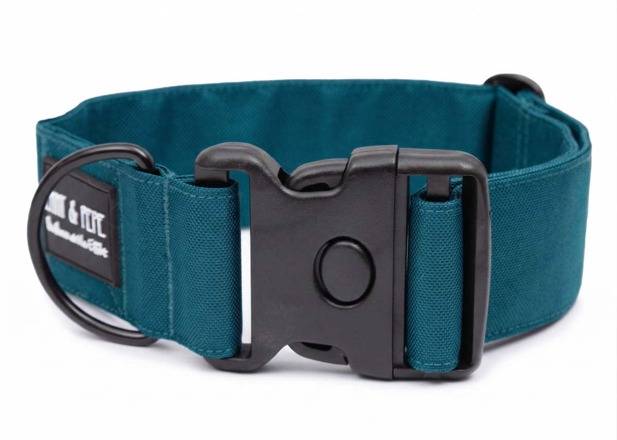 Hundehalsband Aqua