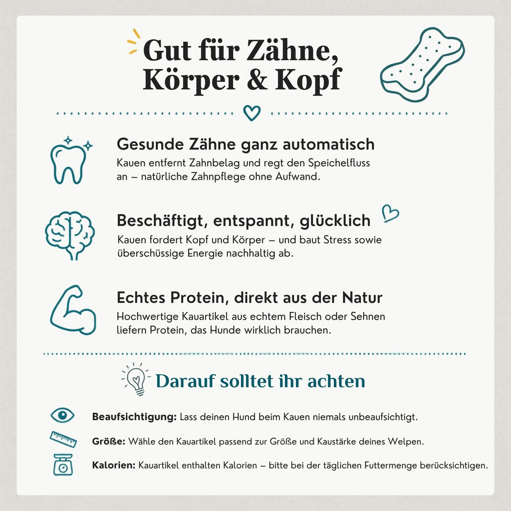 Positive Wirkung von Kauartikeln auf Hunde: natürliche Zahnpflege, mentale Beschäftigung und Kaumuskeltraining durch getrocknete Natursnacks