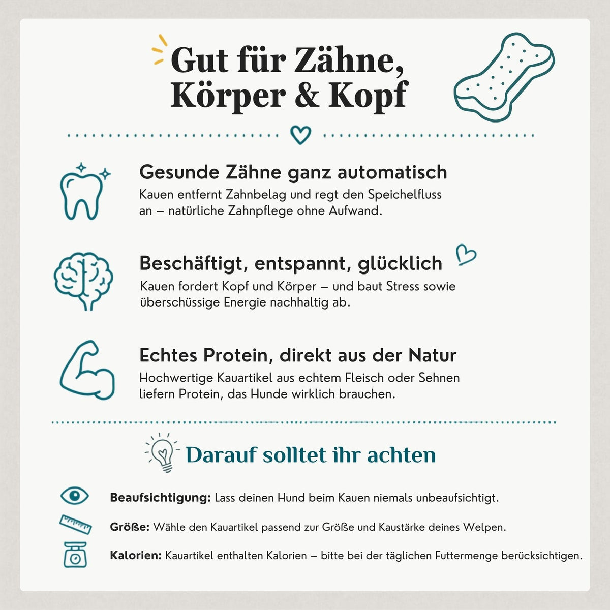 Positive Wirkung von Kauartikeln auf Hunde: natürliche Zahnpflege, mentale Beschäftigung und Kaumuskeltraining durch getrocknete Natursnacks