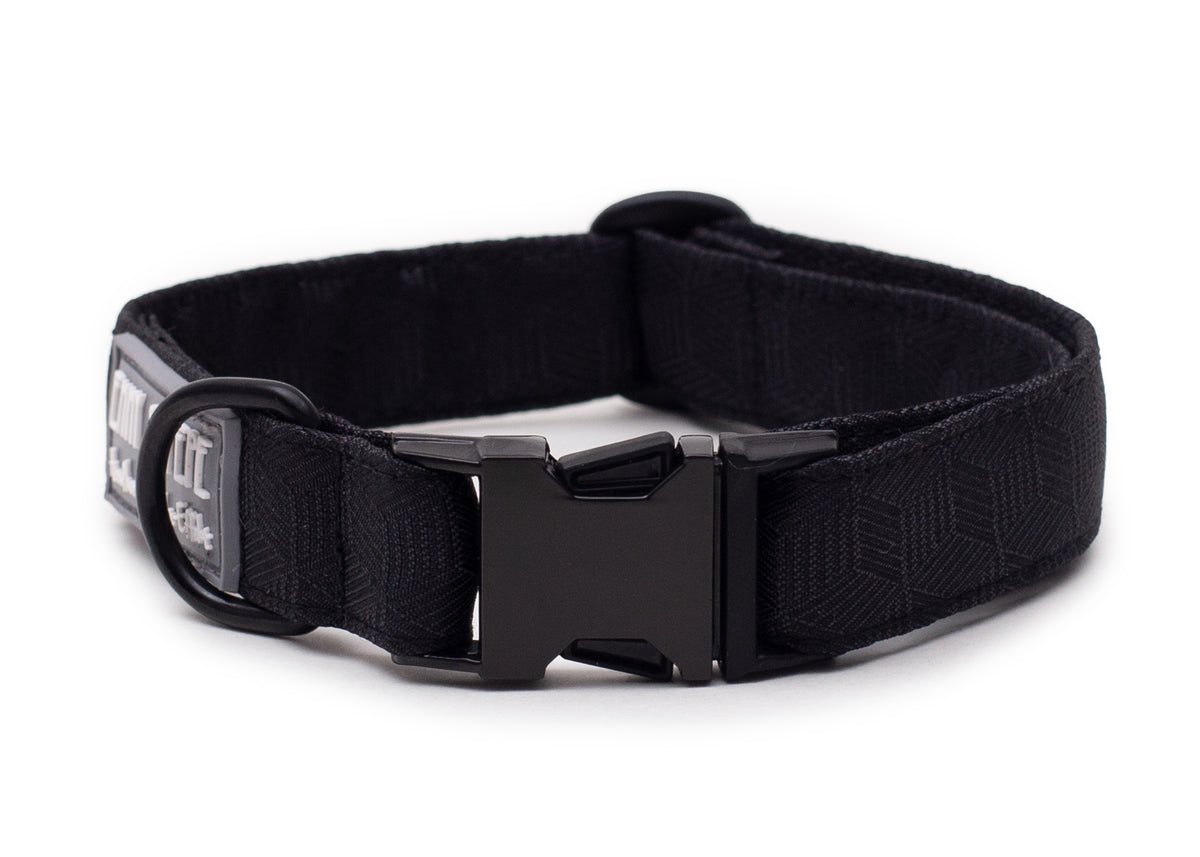Hundehalsband Fröhliches Schwarz mit Metallschnalle