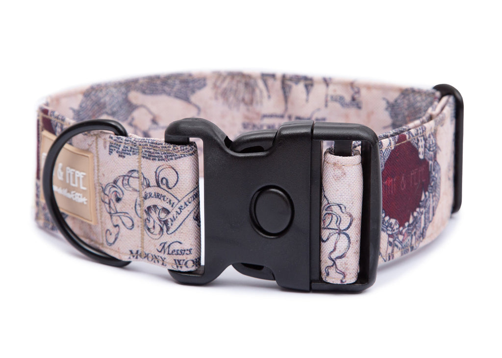 Hundehalsband Karte der E&P Extreme Gray