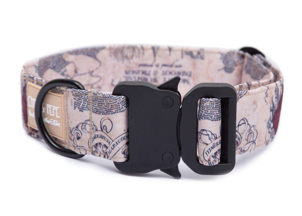 Hundehalsband Modell Karte der E&P Safety Gray