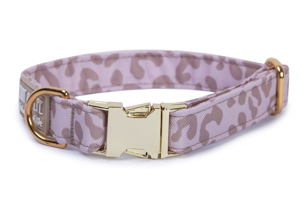 Hundehalsband Leo Creme mit Metallschnalle