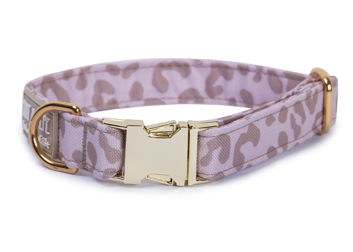 Hundehalsband Leo Creme mit Metallschnalle