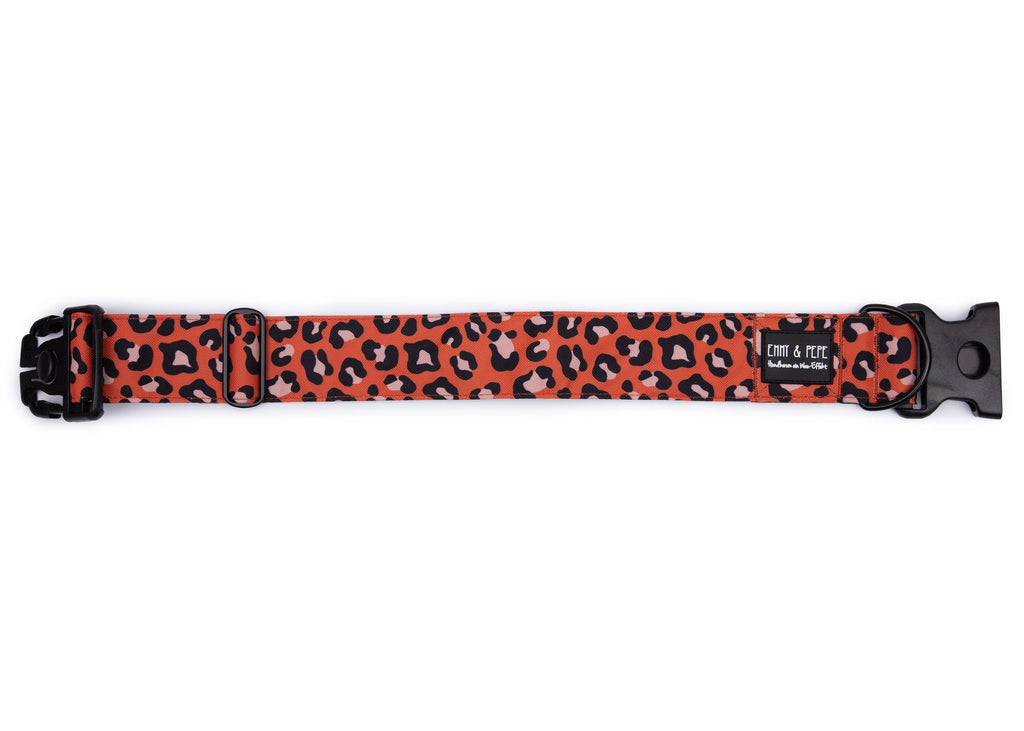 Hundehalsband Leo Orange 1.5cm,2cm,3cm,4cm,Safety,Extreme 