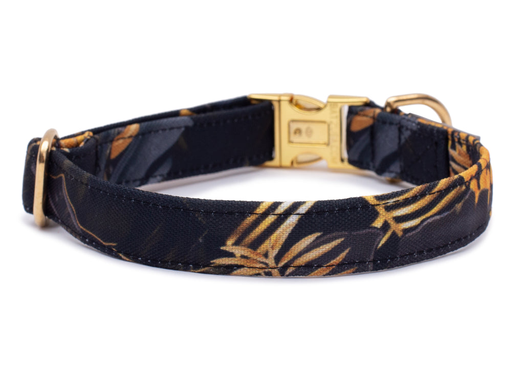 Hundehalsband Tropical Sun