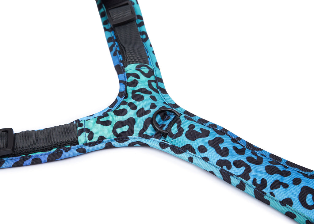 Hundegeschirr Leo Aqua