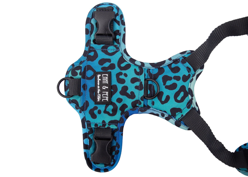 Hundegeschirr Leo Aqua