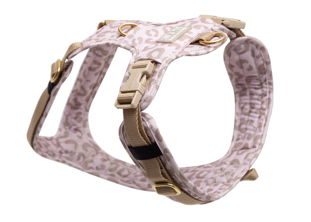 Hundegeschirr Leo Creme