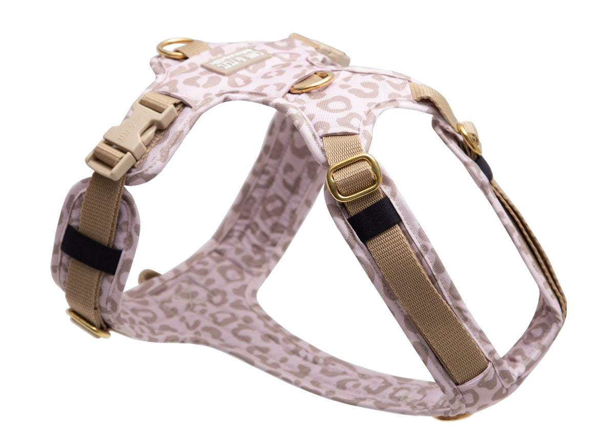Hundegeschirr Leo Creme