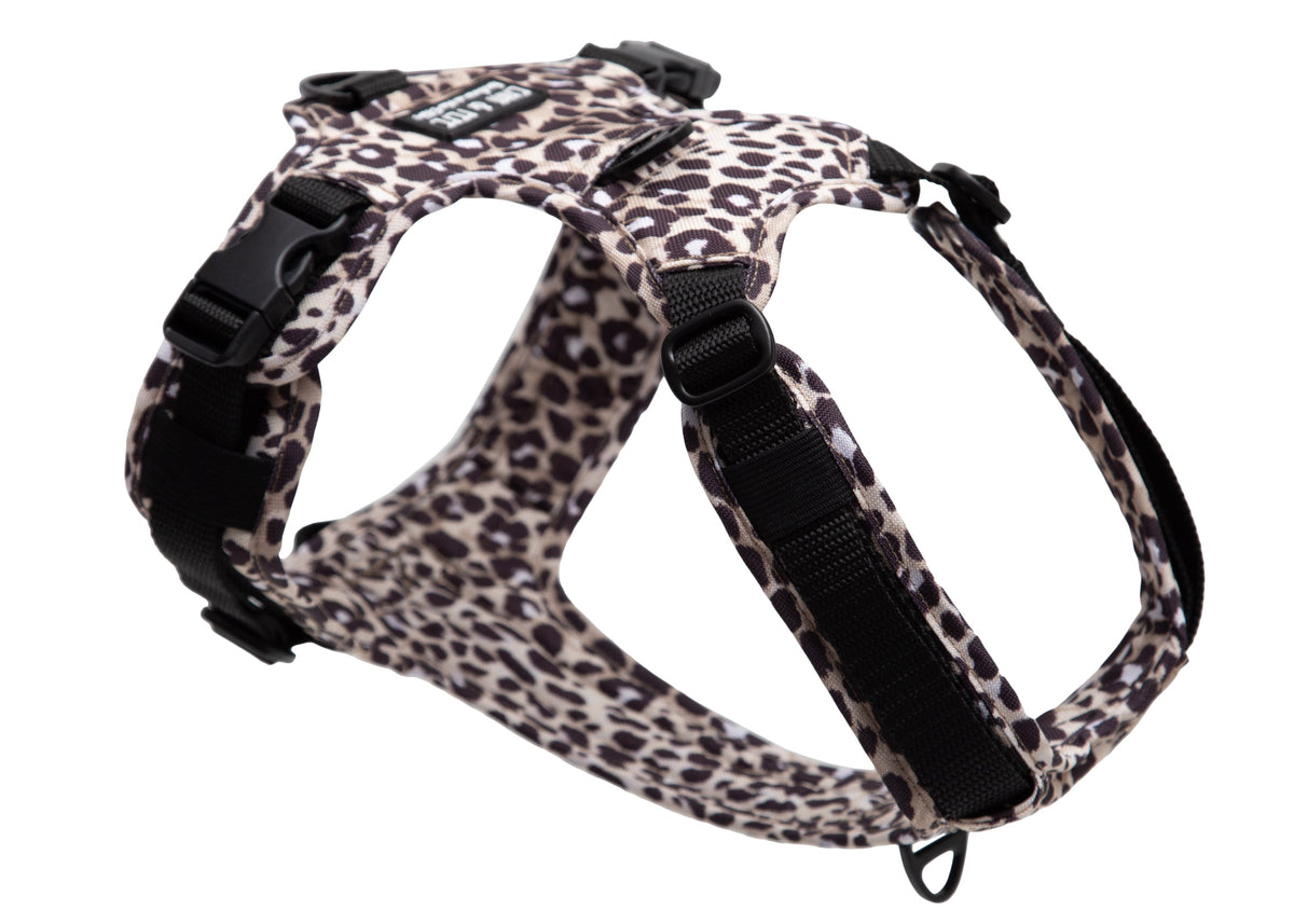 Hundegeschirr Leo Dark