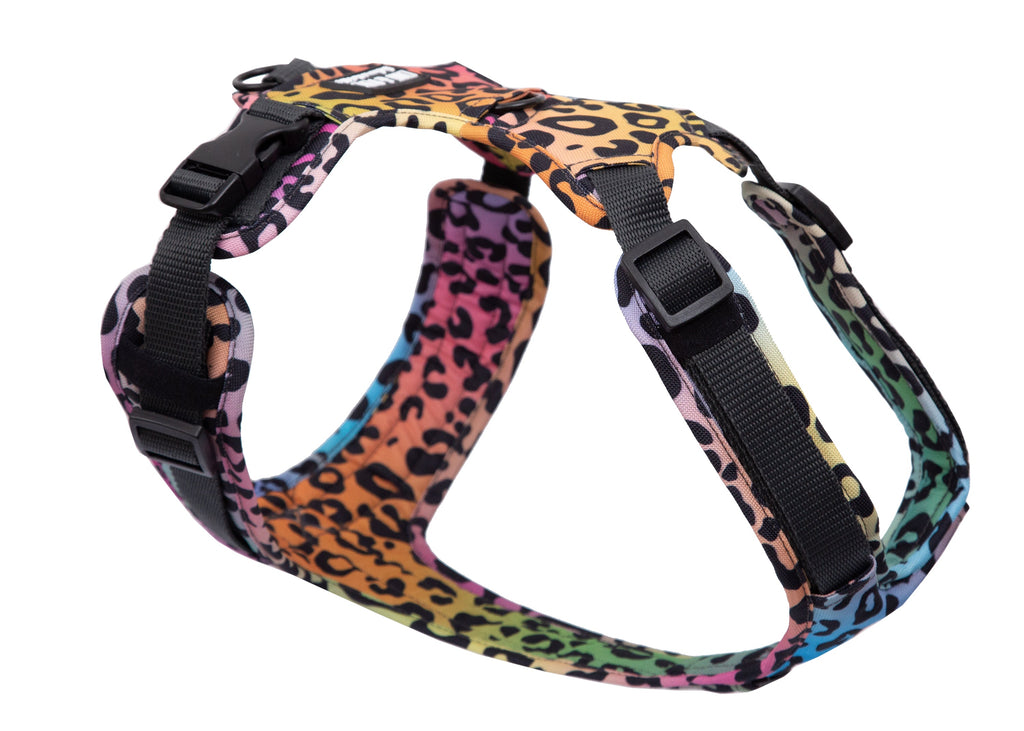 Hundegeschirr Leo Neo