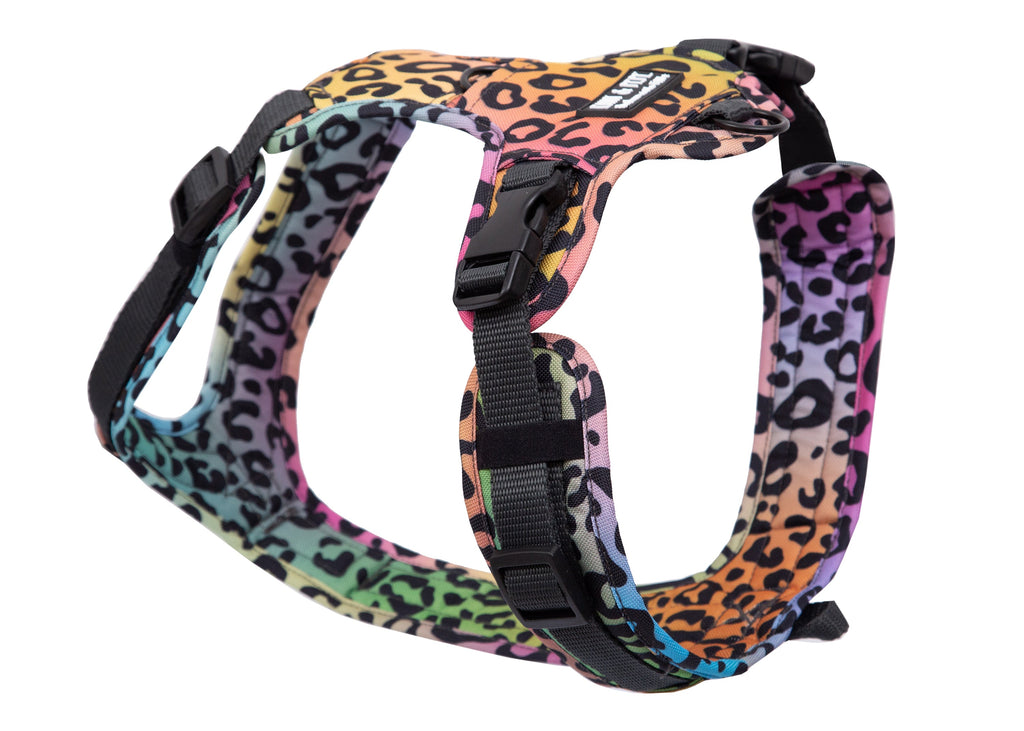 Hundegeschirr Leo Neo