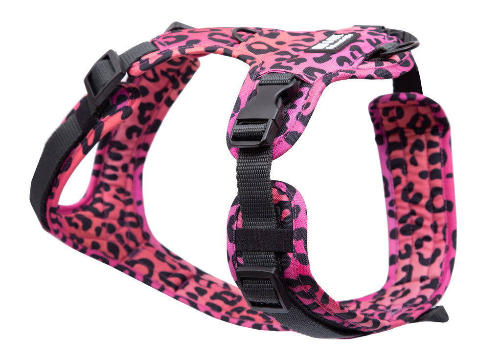Hundegeschirr Leo Pink