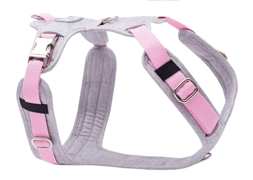 Hundegeschirr Pretty