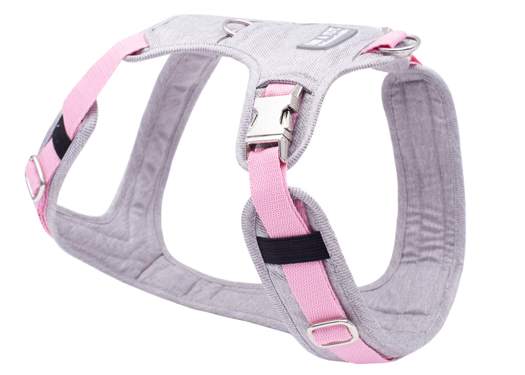 Hundegeschirr Pretty