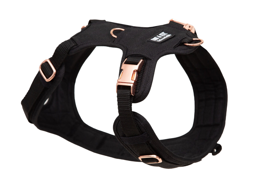 Hundegeschirr Tiffanys Ansicht von hinten