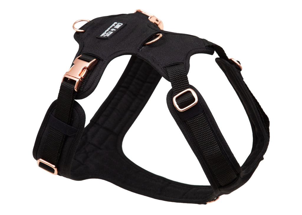 Hundegeschirr Tiffanys, schwarzes Gurtband, aus robustem Outdoor-Material für große und kleine Hunde