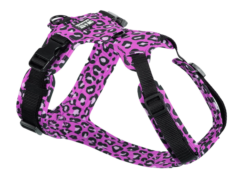 Hundegeschirr Modell: Leo Fuchsia, für große und kleine Hunde aus robustem Outdoor-Material, Gurtband: schwarz