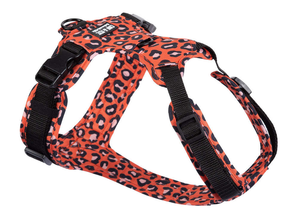 Hundegeschirr Modell Leo Orange, Gutrband: schwarz, für große und kleine Hunde aus robustem Outdoor-Material 