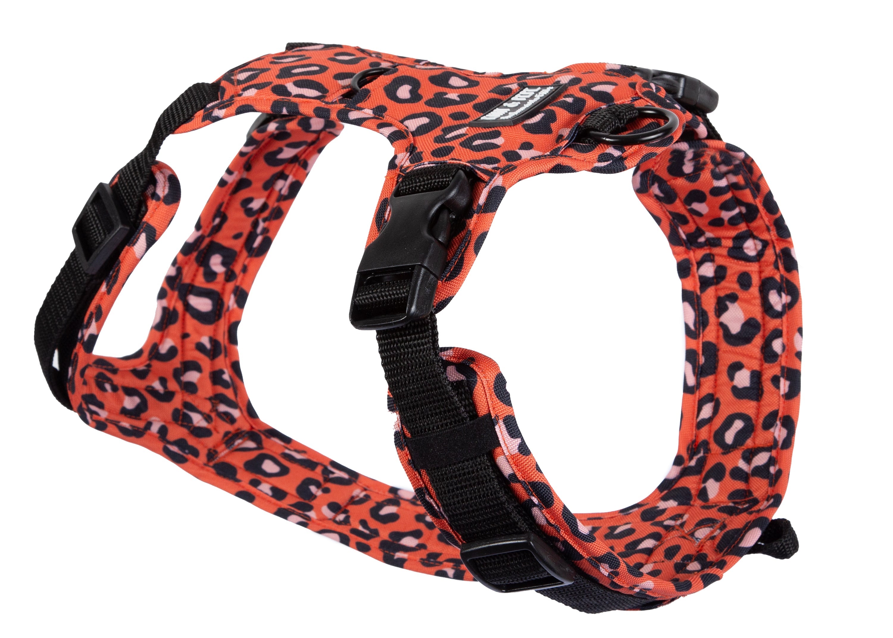 Hundegeschirr Leo Orange - modisches Leomuster in verschiedenen Größen für große und kleine Hunde