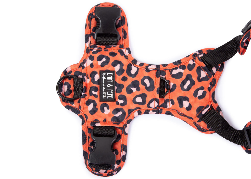 Hundegeschirr Leo Orange - passgenaue Y-Form für volle Bewegungsfreiheit