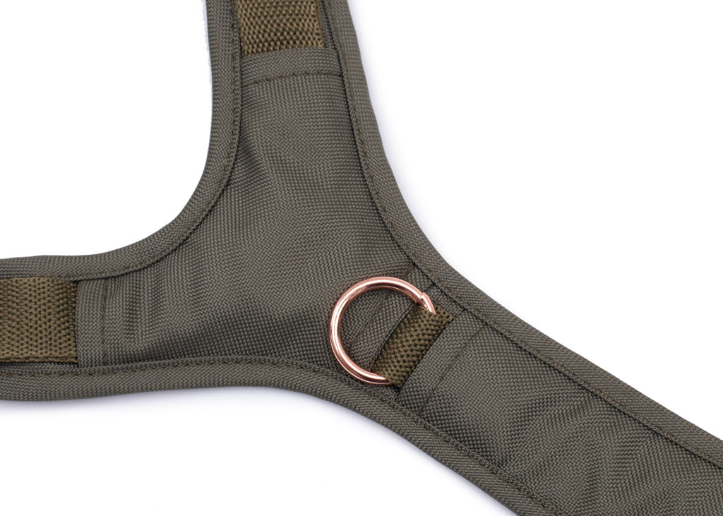 Hundegeschirr Lotte Brustring Detailansicht