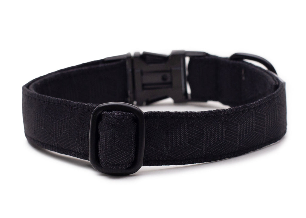 Hundehalsband Fröhliches Schwarz Ansicht von hinten