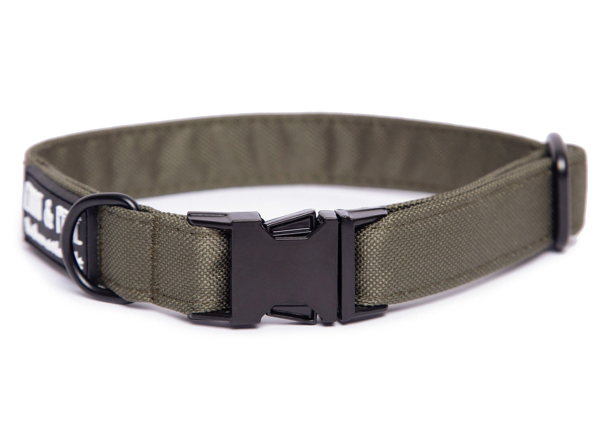 Hundehalsband Lothar 1.5cm,2cm,3cm,4cm