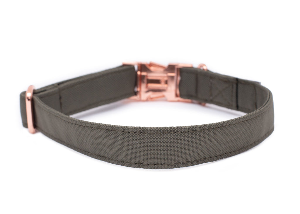 Hundehalsband Lotte Rückseite