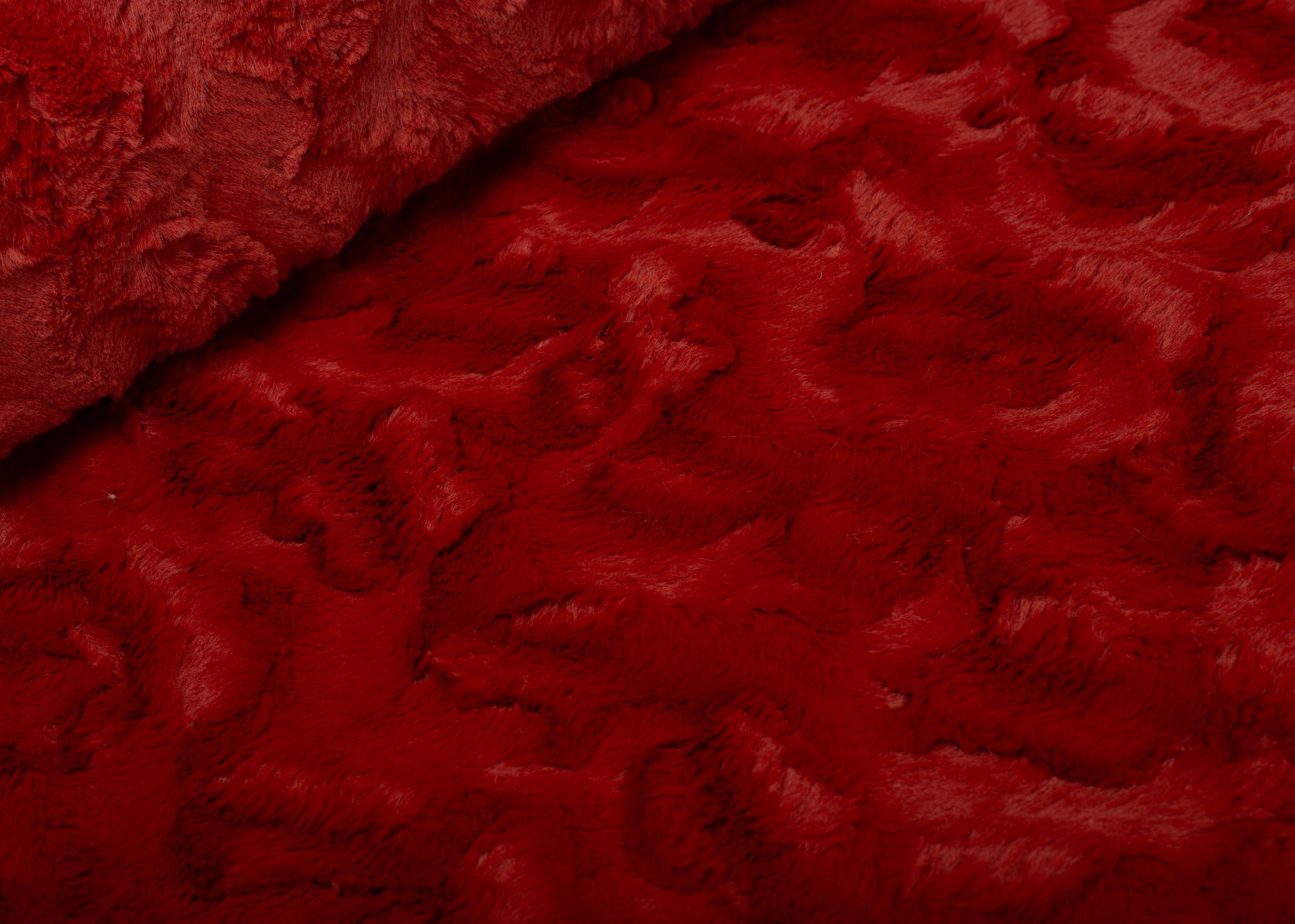 Wau-Bed Wild Wave Fire